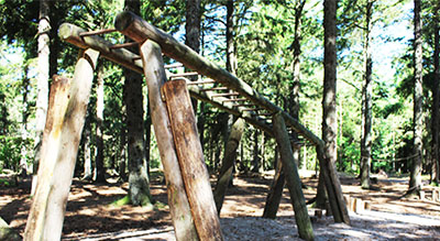 Forest playground